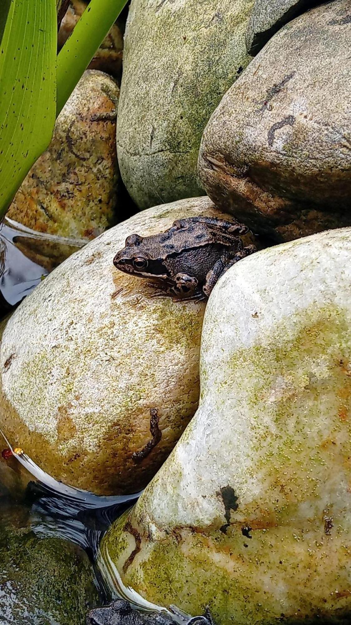 B&B Cosy Garden Alblasserdam Bagian luar foto